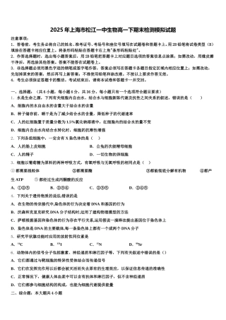2025年上海市松江一中生物高一下期末检测模拟试题含解析