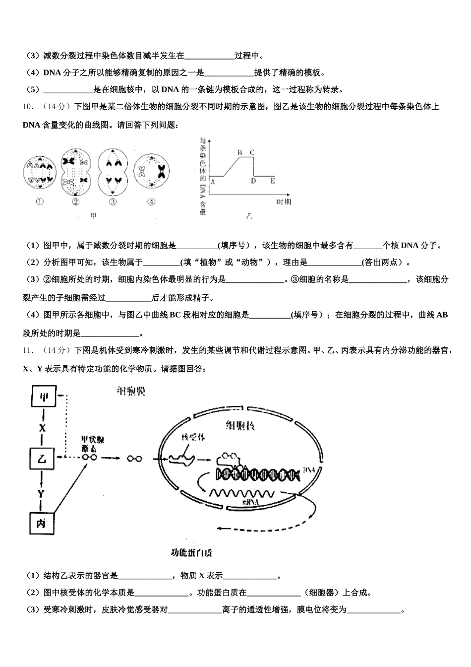 2025年上海市罗店中学高一生物第二学期期末学业质量监测试题含解析_第3页