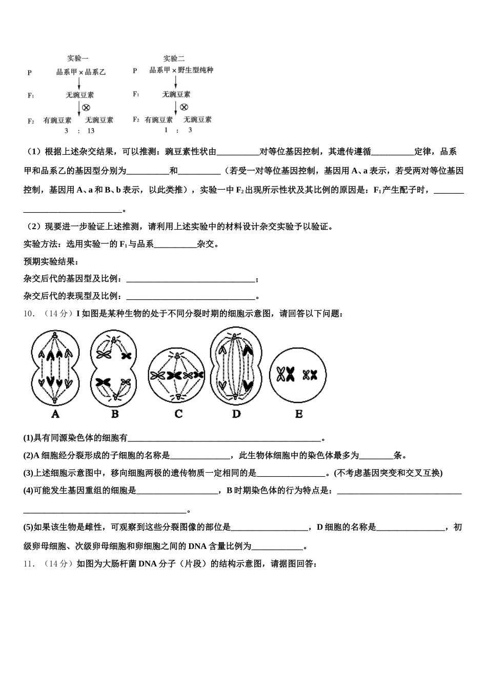 2024-2025学年上海市市北初级中学高一下生物期末经典试题含解析_第3页