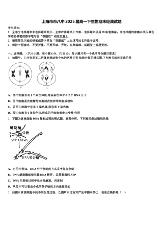上海市市八中2025届高一下生物期末经典试题含解析