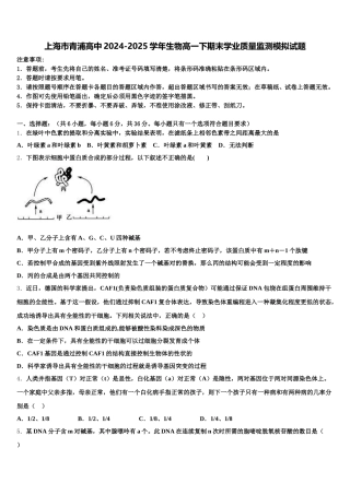 上海市青浦高中2024-2025学年生物高一下期末学业质量监测模拟试题含解析