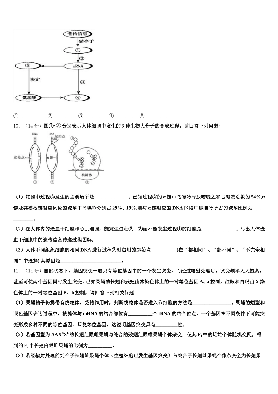 上海市虹口区复兴高级中学2024-2025学年生物高一第二学期期末学业水平测试模拟试题含解析_第3页