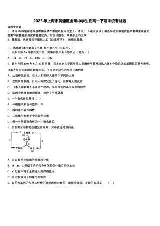 2025年上海市黄浦区金陵中学生物高一下期末统考试题含解析