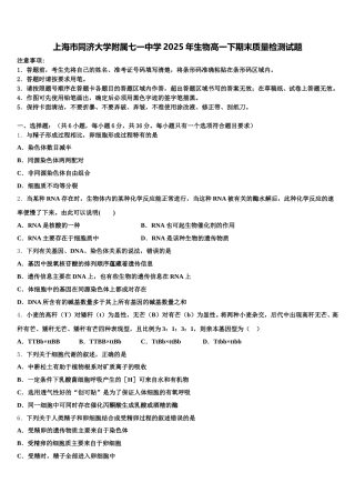 上海市同济大学附属七一中学2025年生物高一下期末质量检测试题含解析