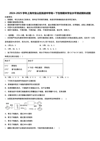 2024-2025学年上海市宝山区扬波中学高一下生物期末学业水平测试模拟试题含解析