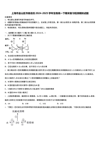 上海市金山区市级名校2024-2025学年生物高一下期末复习检测模拟试题含解析