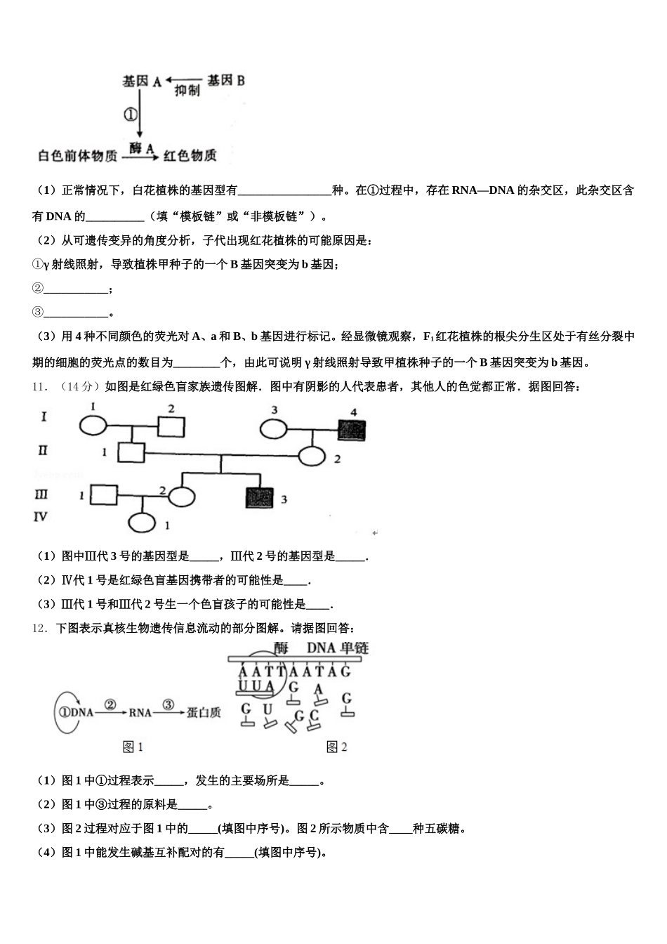 上海市ＳＯＥＣ2025年生物高一下期末复习检测模拟试题含解析_第3页