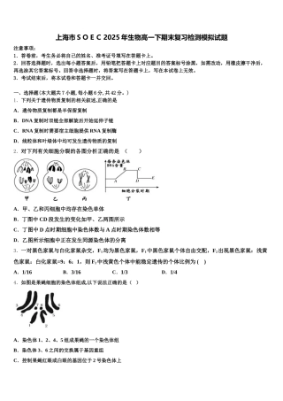 上海市ＳＯＥＣ2025年生物高一下期末复习检测模拟试题含解析