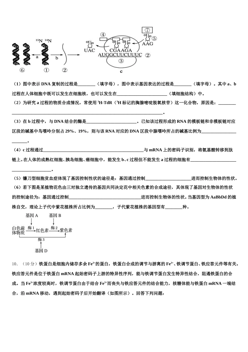 2024-2025学年上海大学附中高一生物第二学期期末学业水平测试试题含解析_第3页