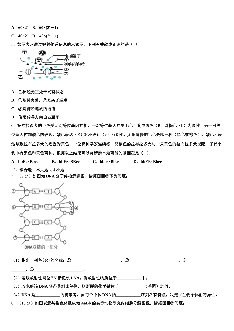2024-2025学年上海外国语大学附中生物高一下期末学业水平测试试题含解析_第2页