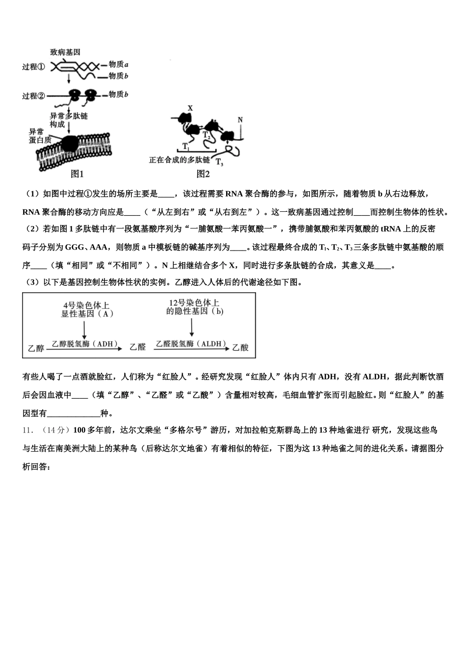 华东师大二附中2024-2025学年高一下生物期末学业水平测试试题含解析_第3页