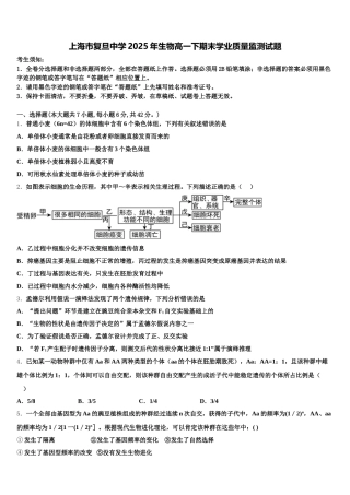 上海市复旦中学2025年生物高一下期末学业质量监测试题含解析