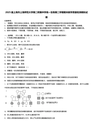 2025届上海市上海师范大学第二附属中学高一生物第二学期期末教学质量检测模拟试题含解析