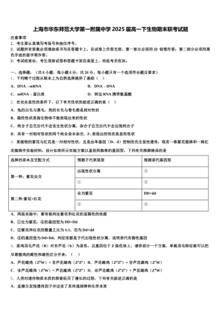 上海市华东师范大学第一附属中学2025届高一下生物期末联考试题含解析