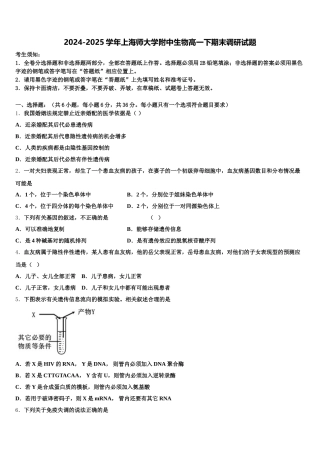 2024-2025学年上海师大学附中生物高一下期末调研试题含解析