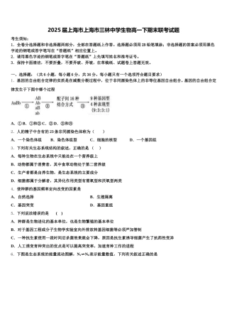 2025届上海市上海市三林中学生物高一下期末联考试题含解析