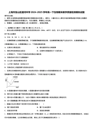 上海市宝山区通河中学2024-2025学年高一下生物期末教学质量检测模拟试题含解析