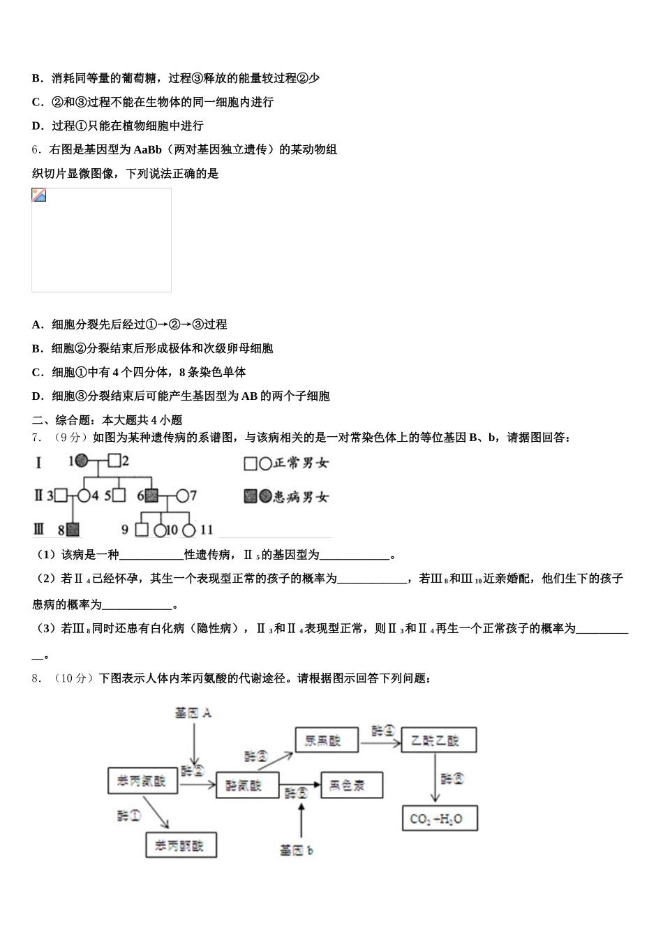 上海市市西中2025届高一生物第二学期期末经典试题含解析_第2页