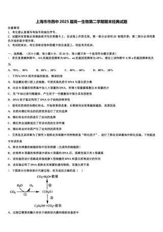 上海市市西中2025届高一生物第二学期期末经典试题含解析