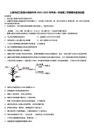 上海市虹口区复兴高级中学2024-2025学年高一生物第二学期期末监测试题含解析