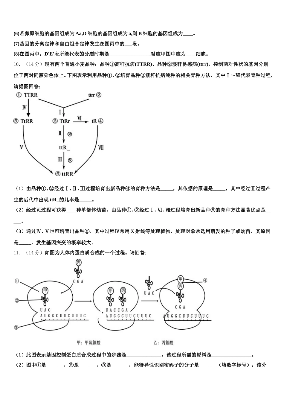 2025年上海市徐汇区上海第四中学高一生物第二学期期末检测模拟试题含解析_第3页