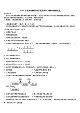 2025年上海市新川中学生物高一下期末调研试题含解析