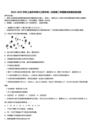 2024-2025学年上海市华师大三附中高一生物第二学期期末质量检测试题含解析