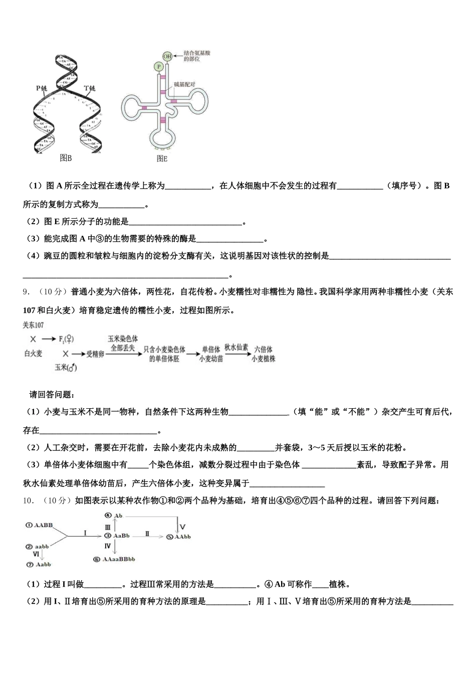 2025届上海市曹阳二中生物高一第二学期期末联考试题含解析_第3页