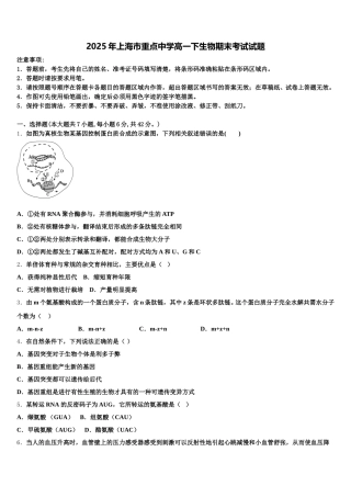 2025年上海市重点中学高一下生物期末考试试题含解析
