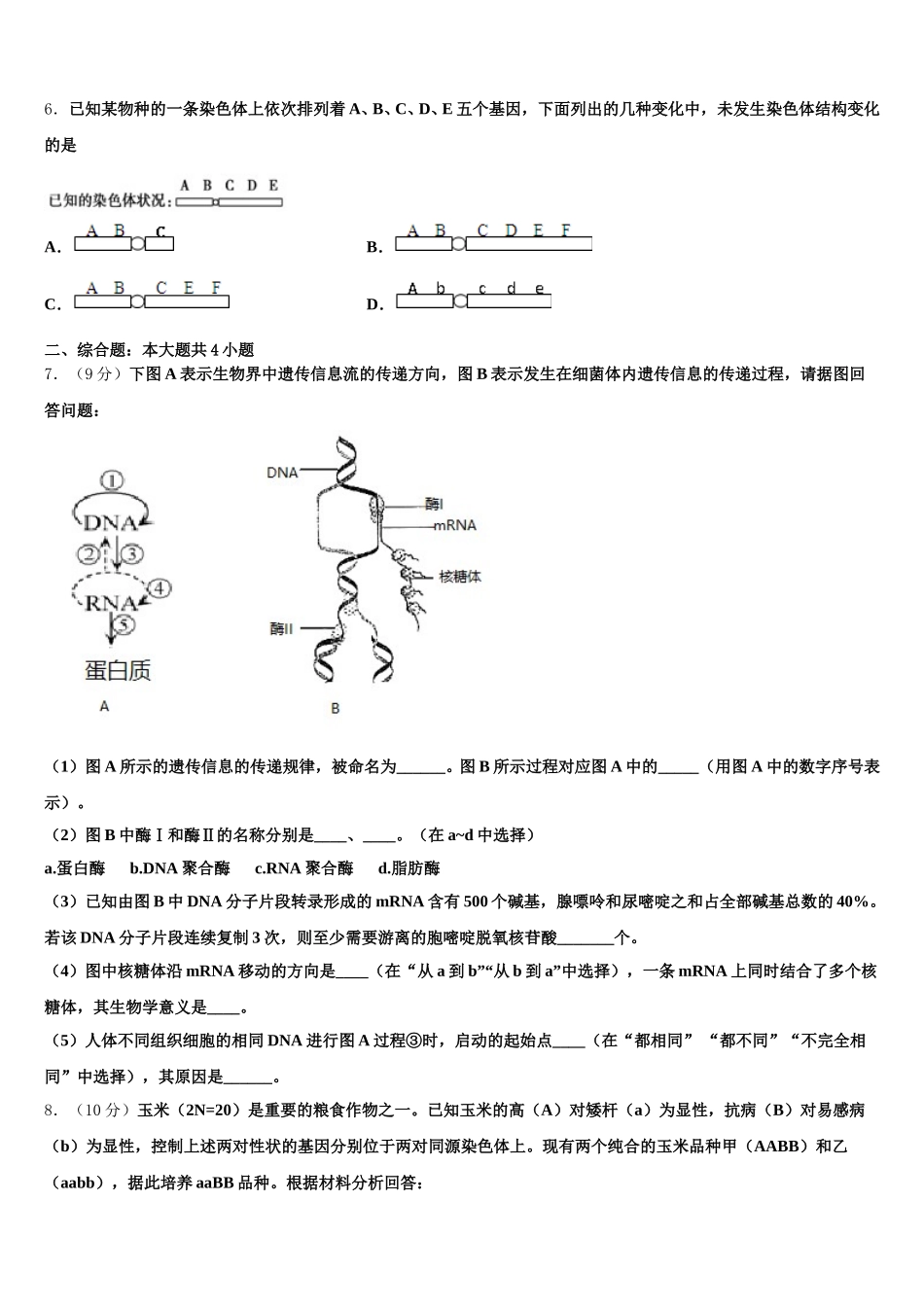 2025届上海市长宁、嘉定区高一生物第二学期期末学业质量监测试题含解析_第2页