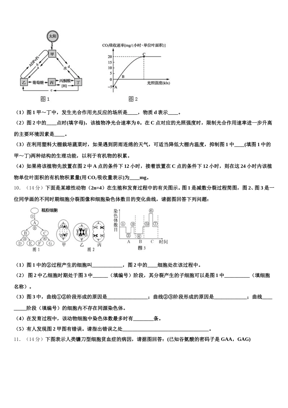 2025届上海市交通大学附属中学嘉定分校高一生物第二学期期末质量跟踪监视模拟试题含解析_第3页