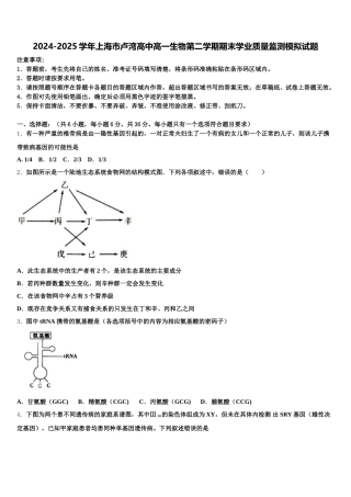 2024-2025学年上海市卢湾高中高一生物第二学期期末学业质量监测模拟试题含解析