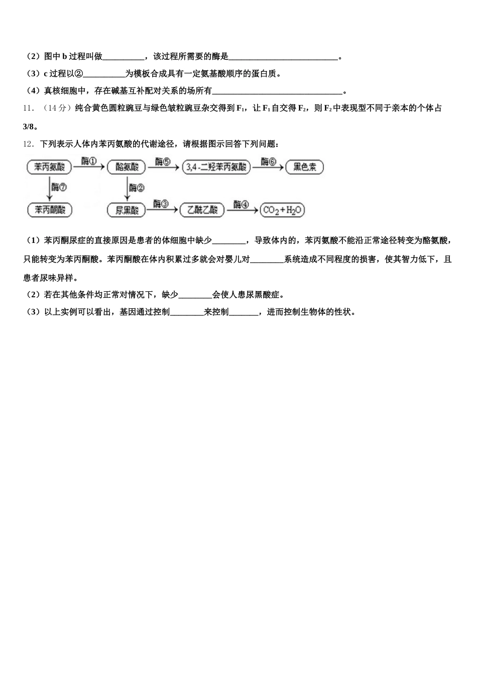 上海市上外附大境中学2025年生物高一下期末复习检测试题含解析_第3页