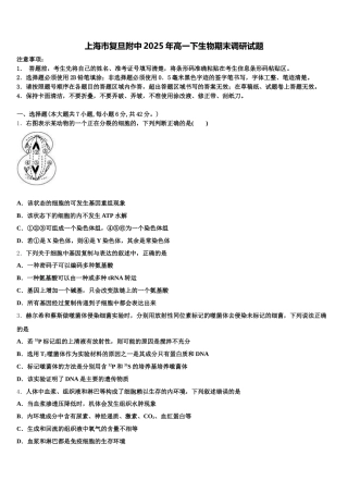 上海市复旦附中2025年高一下生物期末调研试题含解析