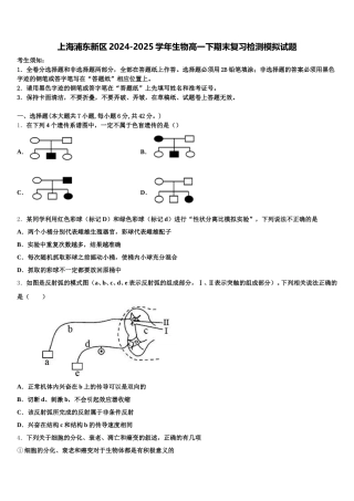 上海浦东新区2024-2025学年生物高一下期末复习检测模拟试题含解析