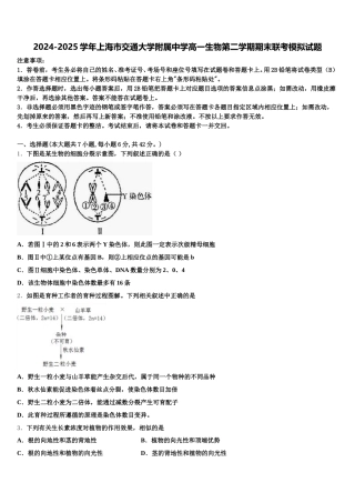 2024-2025学年上海市交通大学附属中学高一生物第二学期期末联考模拟试题含解析