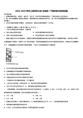 2024-2025学年上海市松江区 生物高一下期末复习检测试题含解析