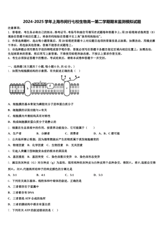 2024-2025学年上海市闵行七校生物高一第二学期期末监测模拟试题含解析