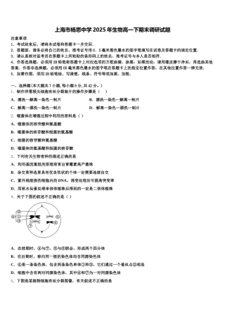 上海市杨思中学2025年生物高一下期末调研试题含解析
