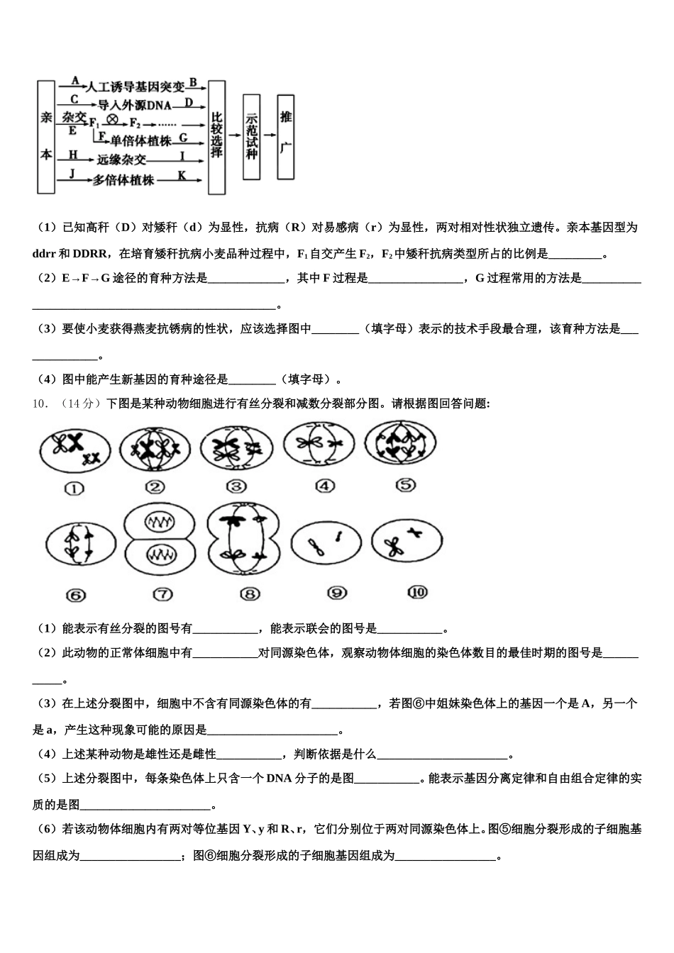 2025届上海市上海师范大学附属中学生物高一下期末检测模拟试题含解析_第3页