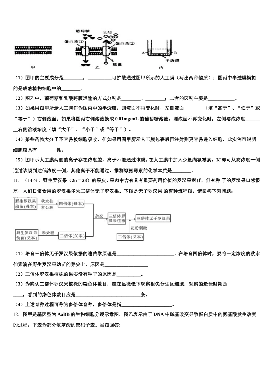 2025届上海市曹杨中学等四校生物高一下期末达标检测模拟试题含解析_第3页