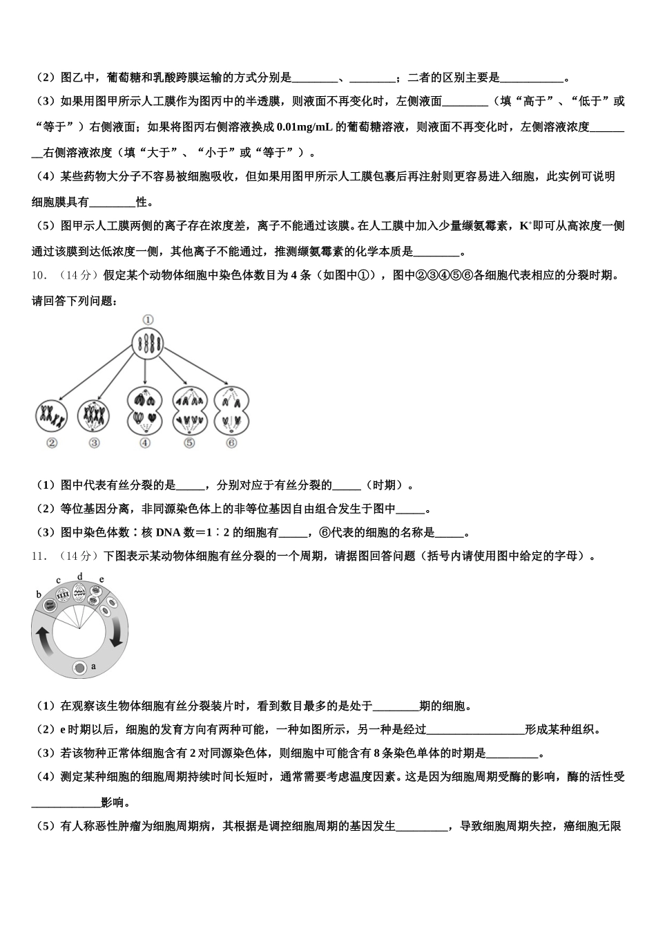 2025年上海市晋元中学高一下生物期末学业水平测试模拟试题含解析_第3页