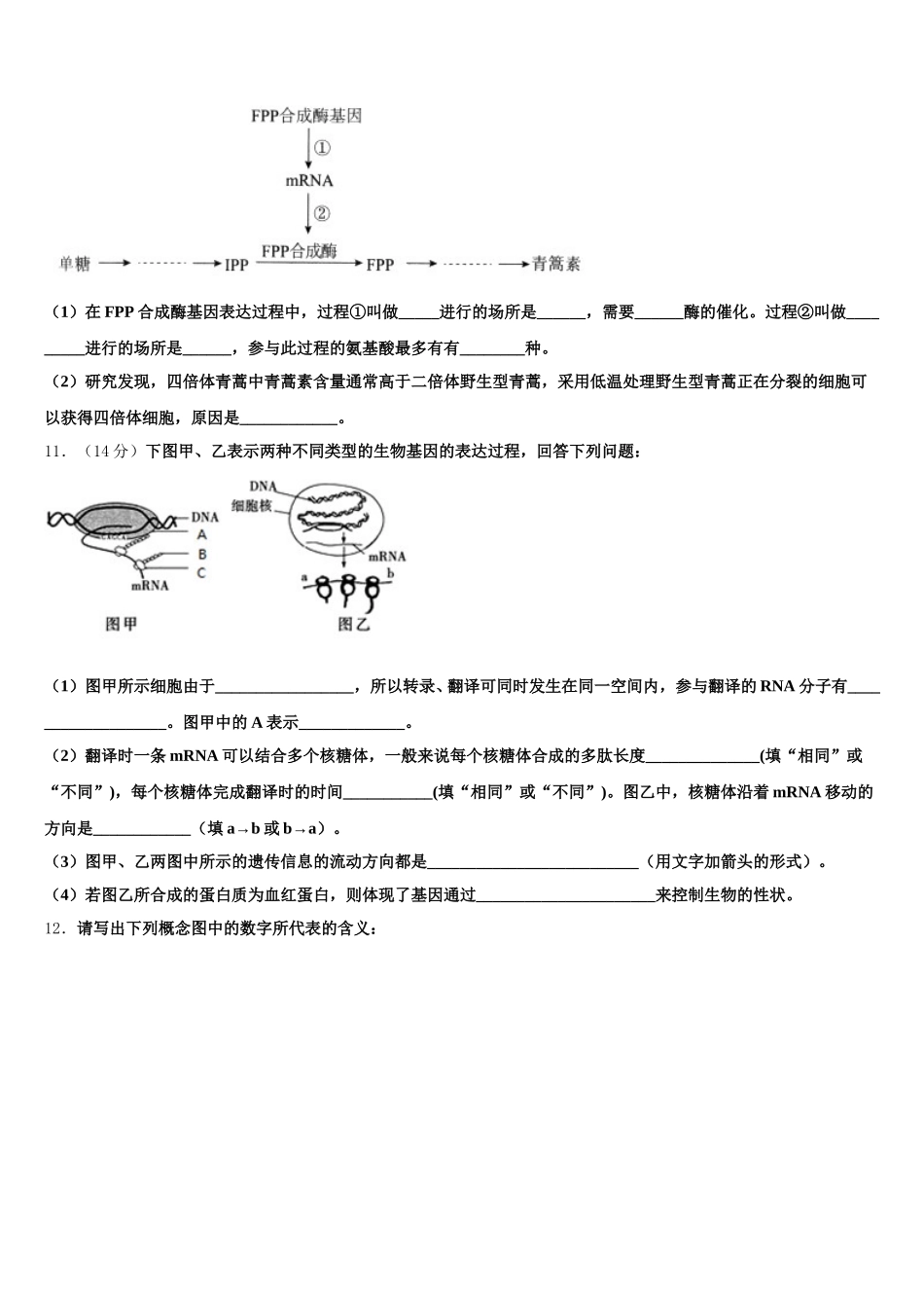 上海市普陀区市级名校2024-2025学年高一下生物期末学业质量监测模拟试题含解析_第3页