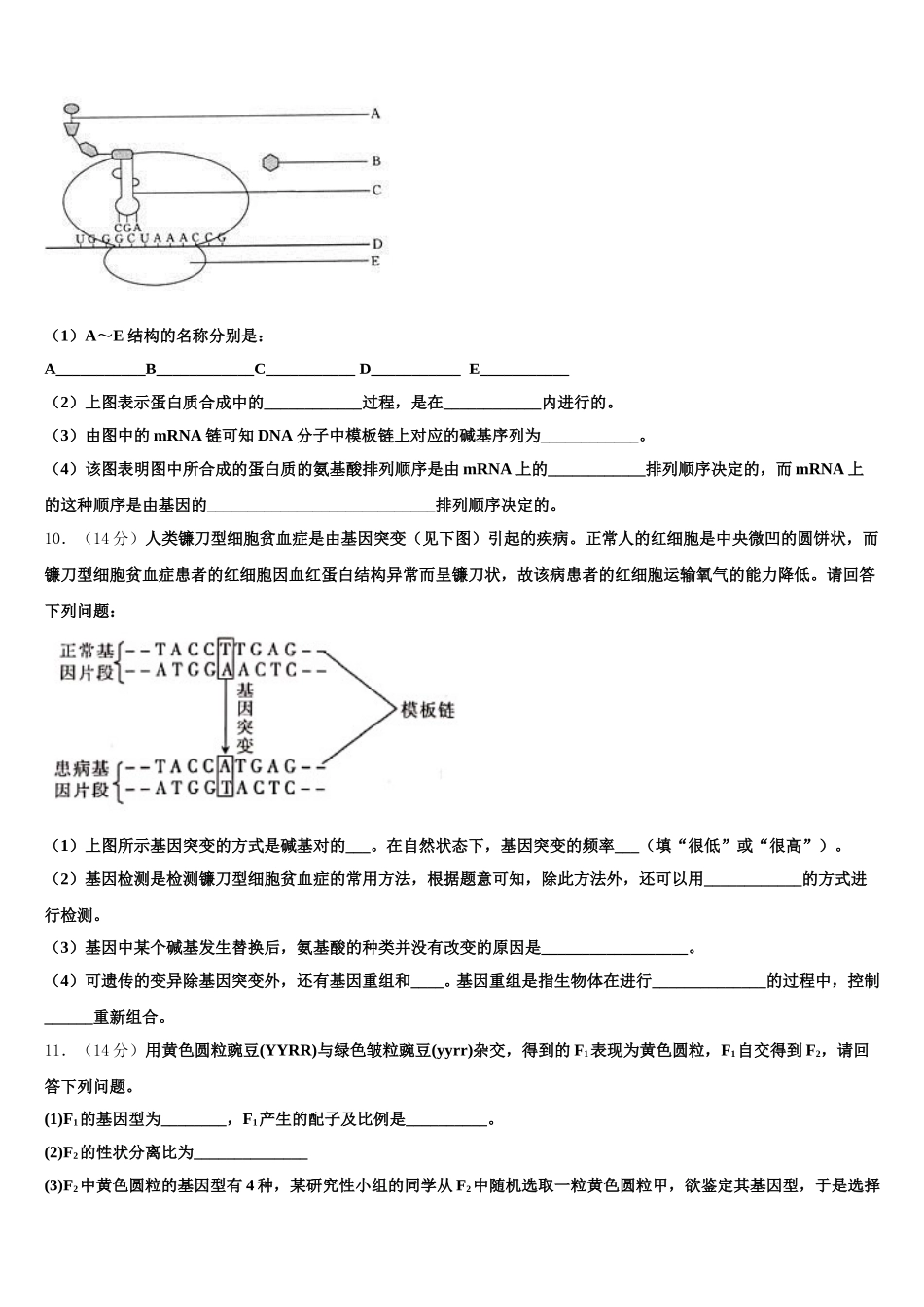 上海市普陀区2025年生物高一下期末统考试题含解析_第3页