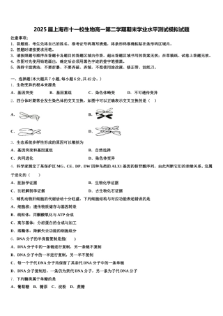 2025届上海市十一校生物高一第二学期期末学业水平测试模拟试题含解析