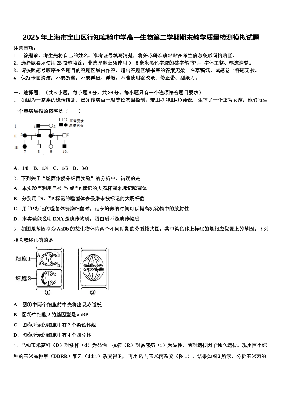 2025年上海市宝山区行知实验中学高一生物第二学期期末教学质量检测模拟试题含解析_第1页