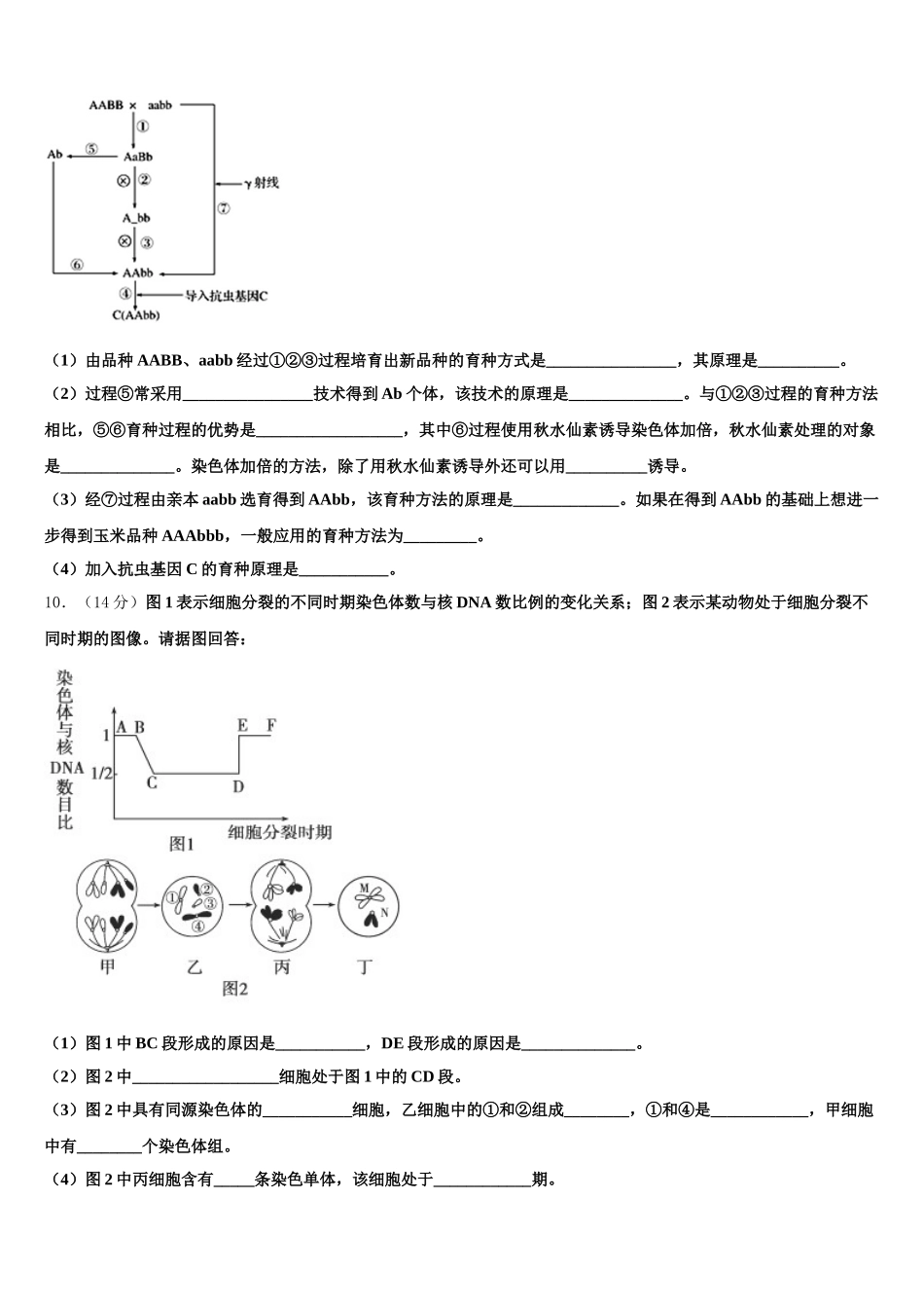 2025届上海大学附属中学生物高一第二学期期末综合测试模拟试题含解析_第3页