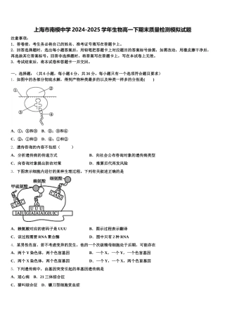 上海市南模中学2024-2025学年生物高一下期末质量检测模拟试题含解析