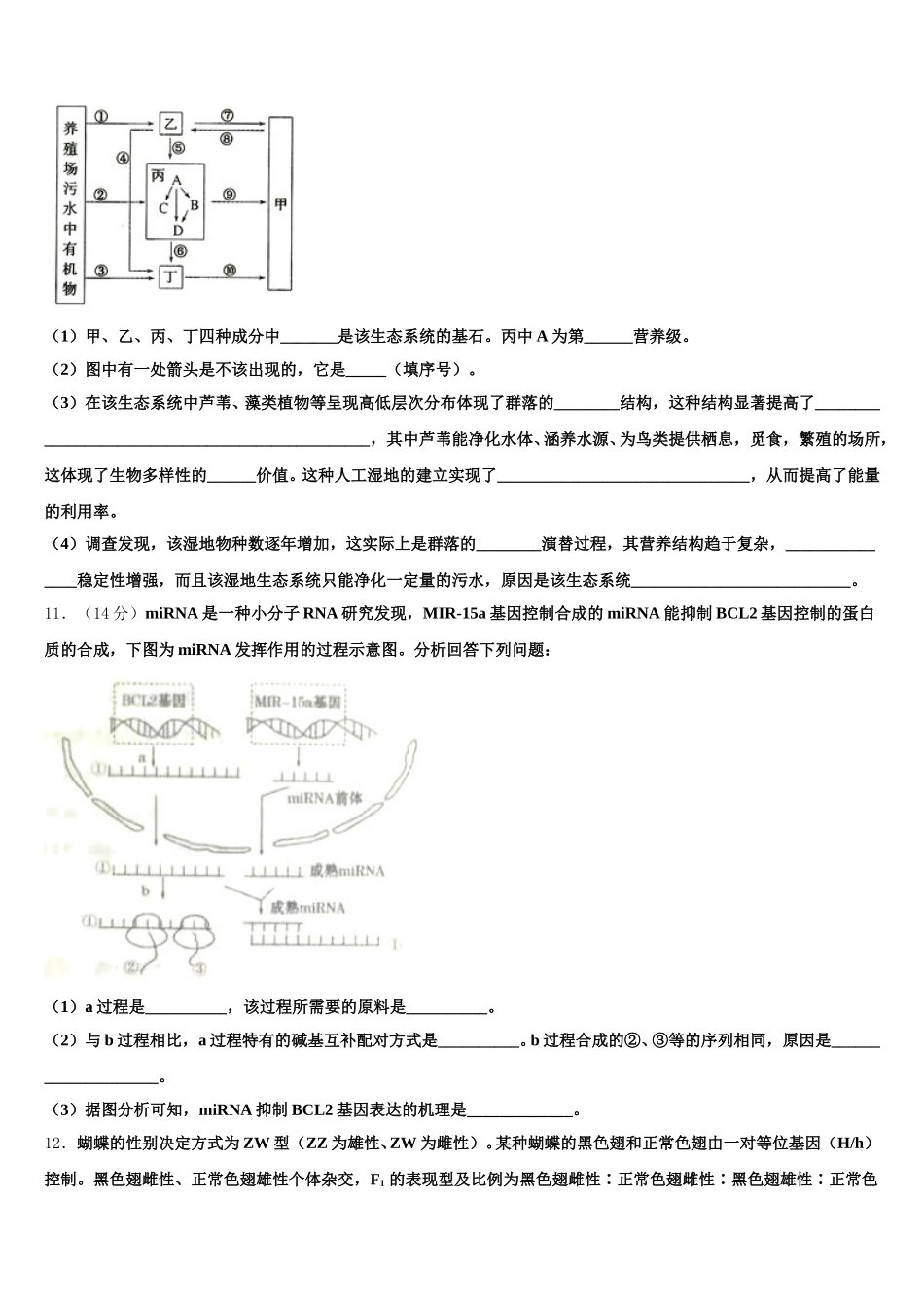 上海市普陀区市级名校2024-2025学年生物高一第二学期期末学业质量监测试题含解析_第3页
