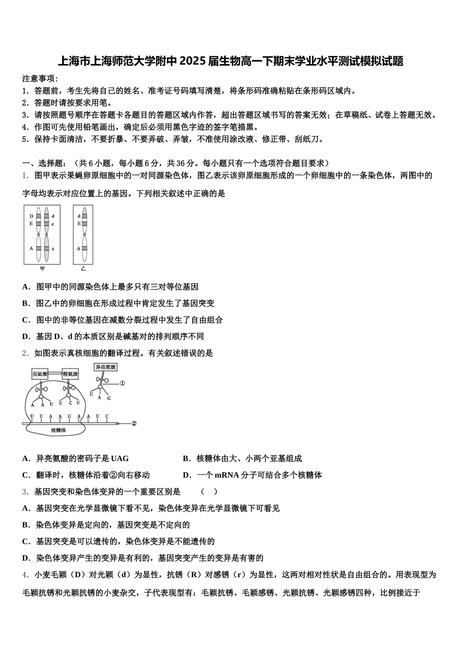 上海市上海师范大学附中2025届生物高一下期末学业水平测试模拟试题含解析_第1页